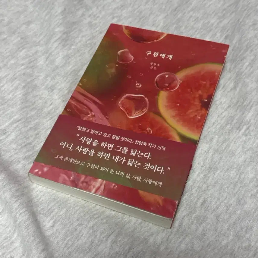 [BUNJANG] Guwon-ege (To Guwon) Novel / 구원에게
