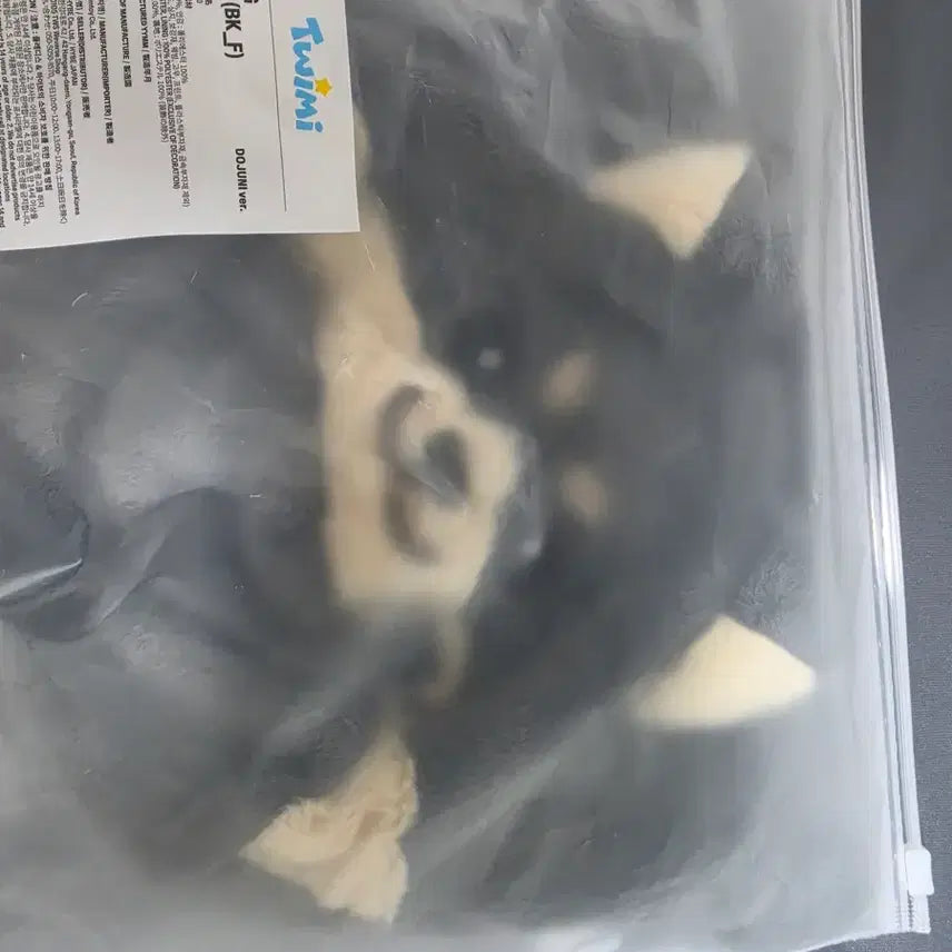 [BUNJANG] TWS Dohoon Pouch / 도쥬니(투어스 도훈) 파우치