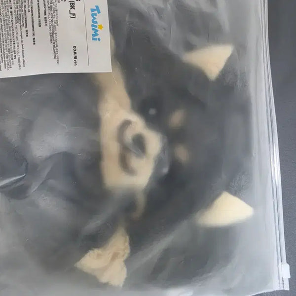 [BUNJANG] TWS Dohoon Pouch / 도쥬니(투어스 도훈) 파우치