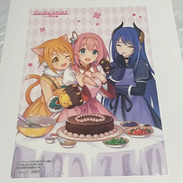 [BUNJANG] Princess Connect! Re:Dive Transparent Illustration / 우마무스메 프린세스 커넥트 리다이브 투명 일러스트
