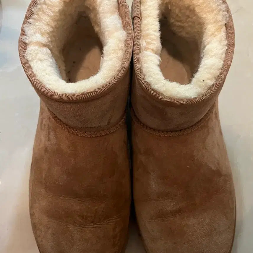 [BUNJANG] UGG Classic Mini Boots / 어그 남성 클래식 미니