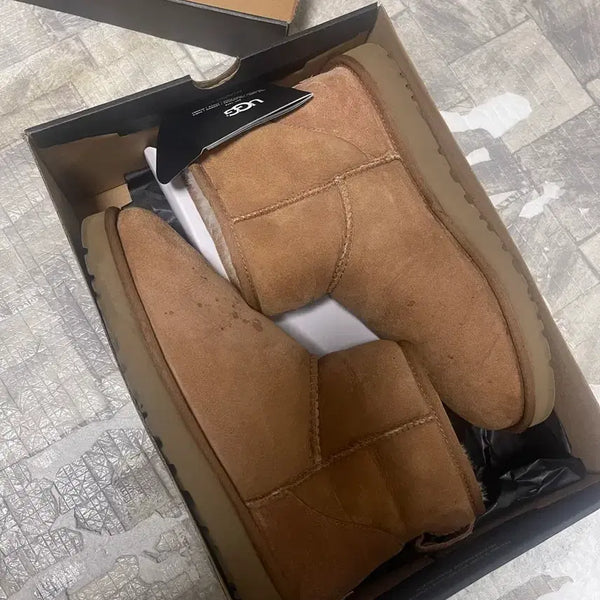 [BUNJANG] UGG Classic Mini Chestnut Boots / 어그 클래식 미니 체스넛