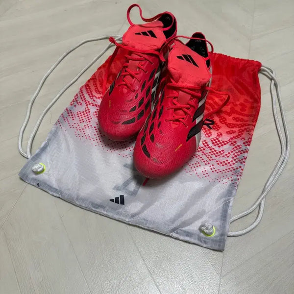[BUNJANG] Adidas Predator Elite FG / 아디다스 프레데터 엘리트 fg, 전용쌕