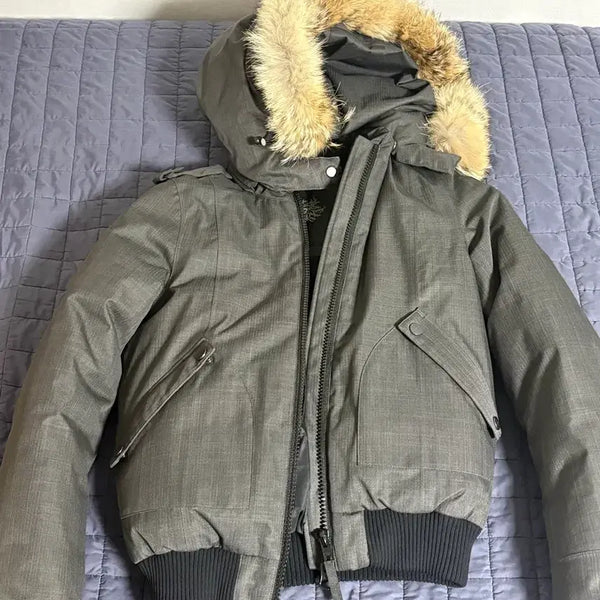 [BUNJANG] Nobis Bomber Padding / 노비스 봄버패딩