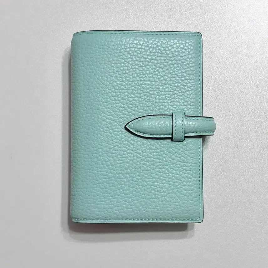 [BUNJANG] Brelio M6 Diary Aqua / 브렐리오 m6 다이어리 아쿠아