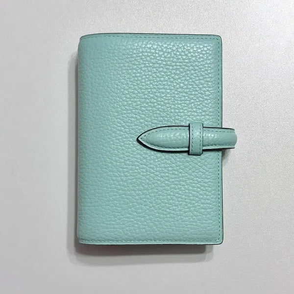 [BUNJANG] Brelio M6 Diary Aqua / 브렐리오 m6 다이어리 아쿠아