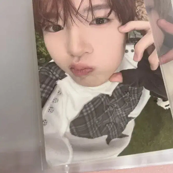 [BUNJANG] Sakuya Photocard / 사쿠야 포카