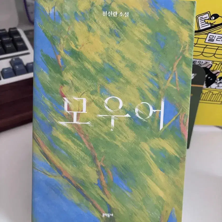 [BUNJANG] Moouer Limited Edition / 모우어 한정판