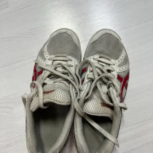 [BUNJANG] Rotary Libre Red Size 250 / 로테리브레 (빨간색) 250
