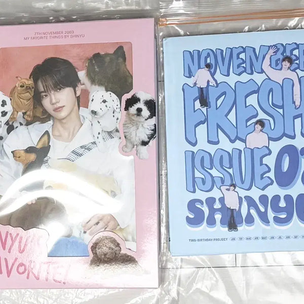 [BUNJANG] TWS Shinyu Birthday Box / 투어스 신유 생일 박스 favorite box 24년 25년