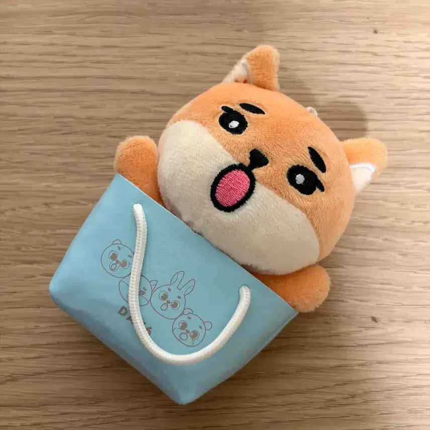 [BUNJANG] DAY6 DECAKE Japan MD Keyring Charm / 데이식스 데케이드 일본 md 케 백참 양도