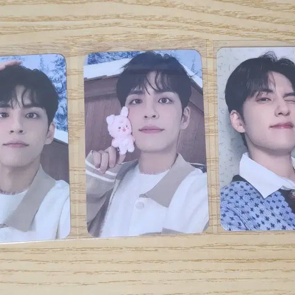 [BUNJANG] DAY6 Wonpil Bundle Set Photocard / 일괄) 데이식스 원필 포카