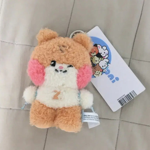 [BUNJANG] ZEROBASEONEZB1 Sung Hanbin Message Beanie / 제로베이스원 제베원 제로니 메시지 비니니 성한빈
