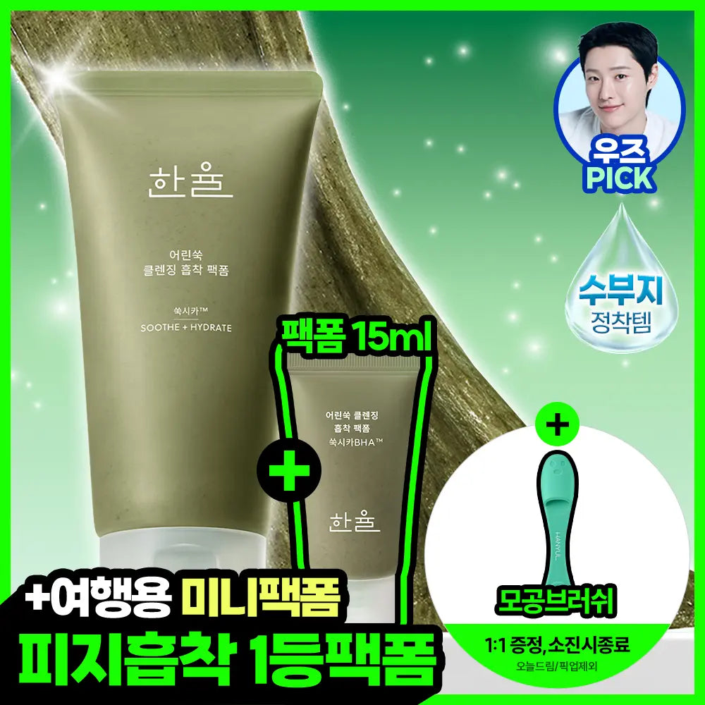 [hanyul] Hanyul Pore Absorbing Mugwort Cleansing Foam 120ml Special Set / [쫀득팩폼] 한율 피지흡착 쑥떡팩폼 120ml 기획세트