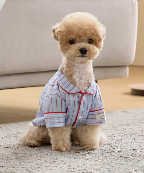 [DOSSY] Silk Fit Chloé Pet Pajamas / 실크핏 클로에 펫 잠옷