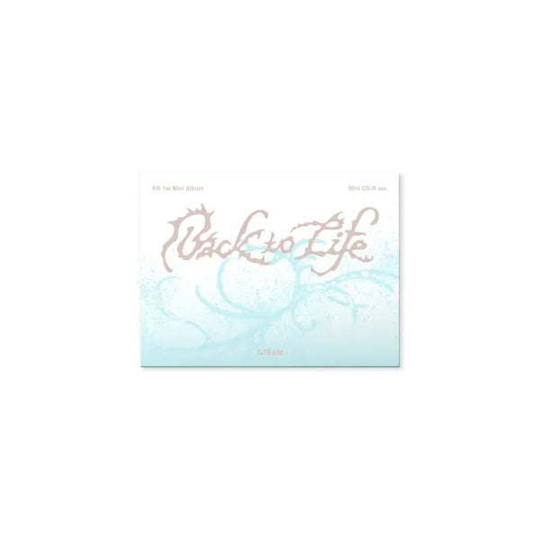 [&TEAM] KR 1st Mini Album 'Back to Life' Photocard Box (Mini CD-R ver.)