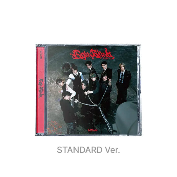[&TEAM] 3rd SINGLE 'Go in Blind' STANDARD EDITION