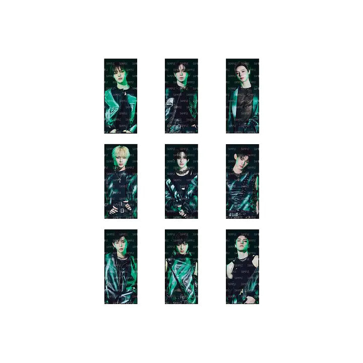 [&TEAM] PHOTO SLOGAN