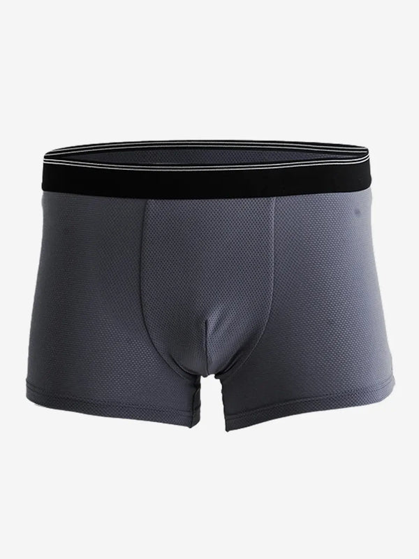 [DAISO] Easycool Aerocool Mesh Men's Drawers XL Grey / 이지쿨 에어로쿨 메쉬 남성 드로즈 XL 그레이