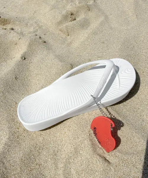 [SOLETTE] MULGYEOL flip flop_White
