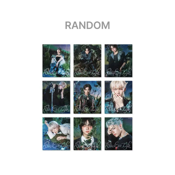 [&TEAM] KR 1st Mini Album 'Back to Life' - ROAR ver. (Random)