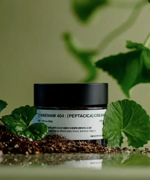[TOUN28] Haenam404 Pepta Cica Dawn Cream 50g / 해남404 펩타시카 새벽크림 50g
