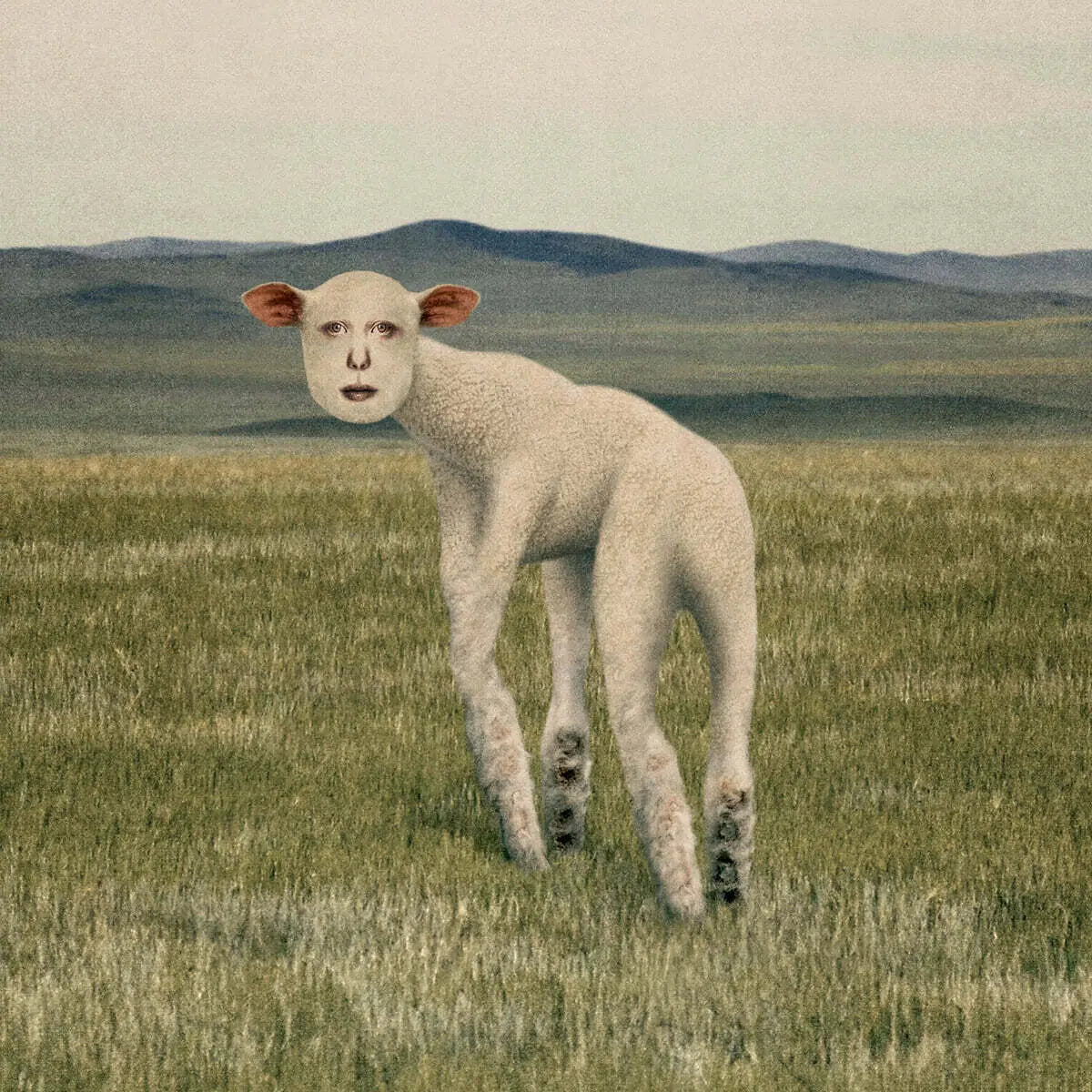 [THORNAPPLE] THORNAPPLE - EP [ANIMAL] / 쏜애플 (THORNAPPLE) - EP [동물]