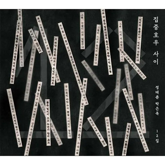 [K-Pop] 12th Album Concentration Heavy Rain / 12집 집중호우 사이