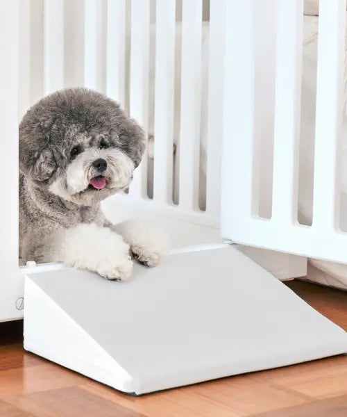 [TAKE ME HOME] Didimi Non-slip Pet Step Dog Low Stairs / 디디미 논슬립 펫스텝 강아지 낮은계단