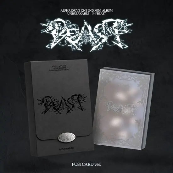 [K-Pop] UNBREAKABLE: Boy Beast Mini 2nd Album [Postcard Ver] / UNBREAKABLE : 少年BEAST [미니 2집] [POSTCARD VER]