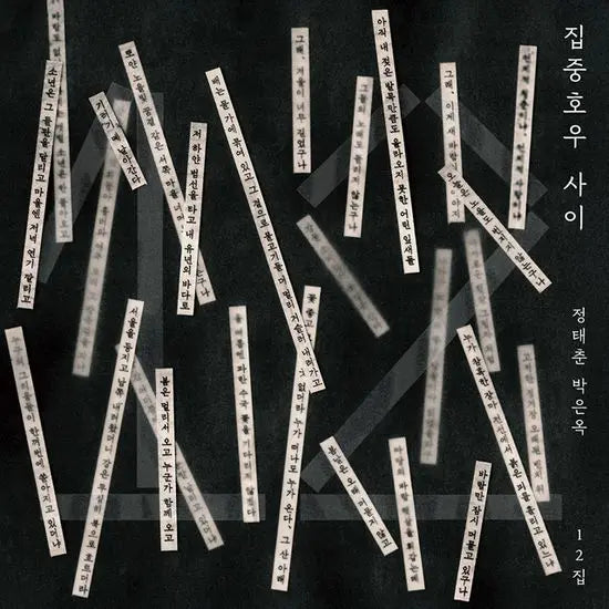 [K-Pop] 12th Album: Heavy Rain / 12집 집중호우 사이 [180G LP]