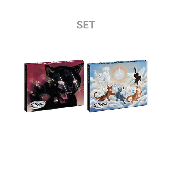 [More Artist] THE 2nd EP ALBUM [BITE NOW] PHOTOBOOK ver. (Set)