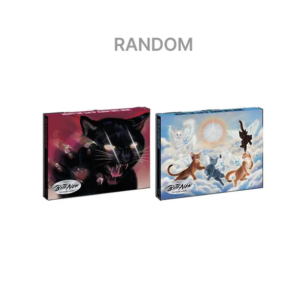 [More Artist] THE 2nd EP ALBUM [BITE NOW] PHOTOBOOK ver. (Random)