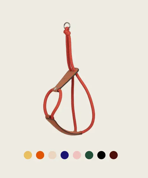 [HOZI] Essential harness / 에센셜 하네스